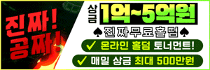 와일드홀덤